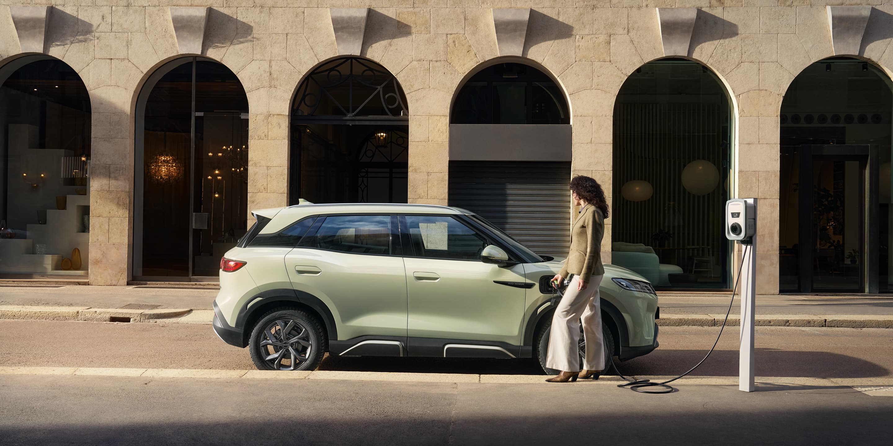 BYD ATTO 2 fast charging — 65 kW DC from 30% to 80% in ~28 minutes | France AJ Group Ltd