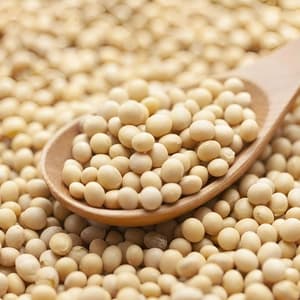 GMO SOYBEANS