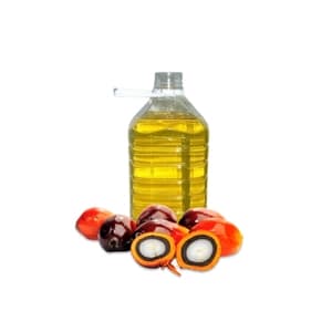 PALM OIL CP 10